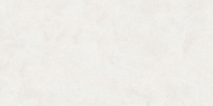 Керамогранит Buono Ceramica Emma Fiore Base Matt арт. EVL4802M (60x120) матовый